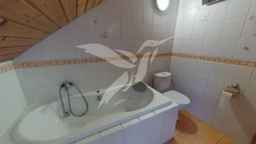 Pronájem rodinného domu, Plzeň, Sušická, 170 m2