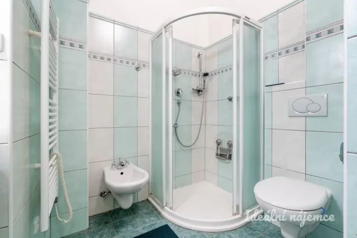 Pronájem bytu 1+1, Praha - Nusle, Pod lázní, 40 m2