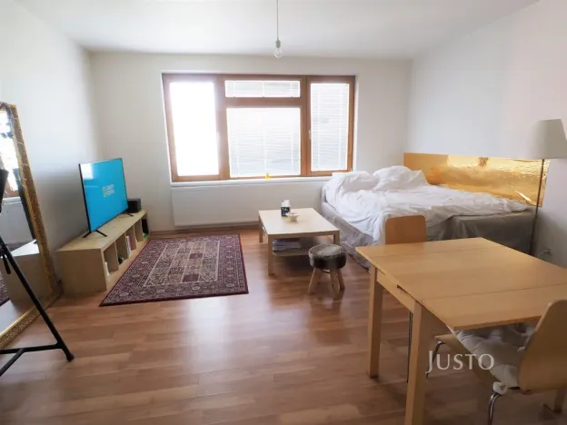 Pronájem bytu 1+kk, Písek, V Portyči, 31 m2