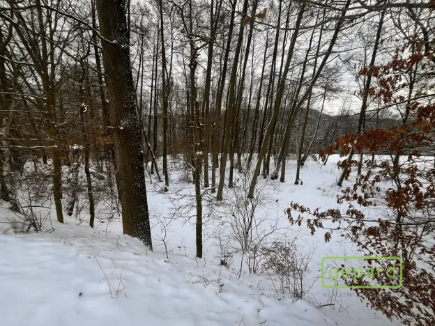 Prodej pozemku pro bydlení, Loket, 730 m2