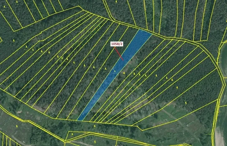 Dražba lesa, Milavče, 5152 m2