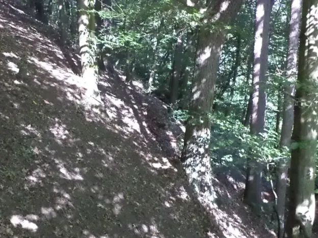 Dražba louky, Děčín, 675 m2