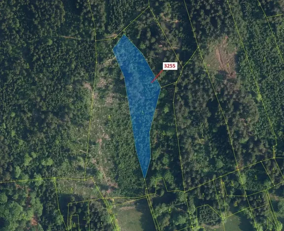 Dražba lesa, Velké Hamry, 6125 m2