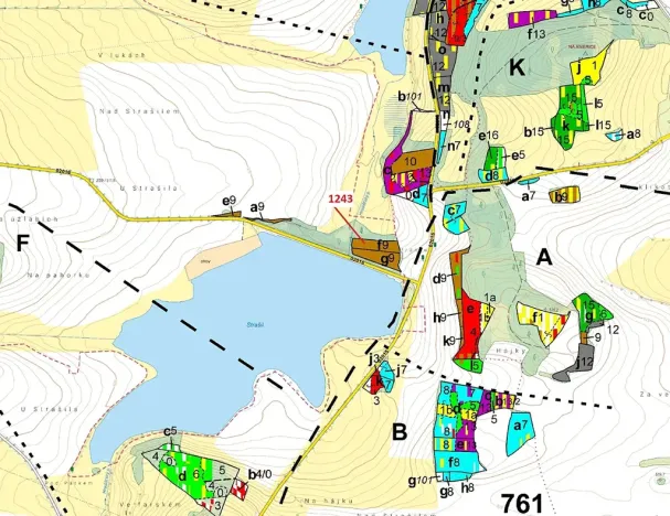 Dražba lesa, Nezdřev, 2662 m2