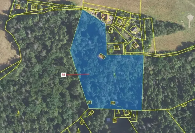 Dražba lesa, Sýkořice, 8962 m2