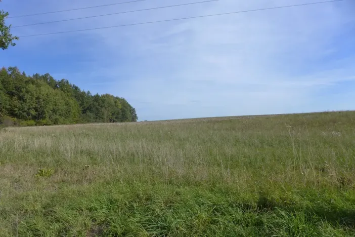 Prodej komerčního pozemku, Horní Planá, 16135 m2