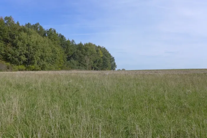 Prodej komerčního pozemku, Horní Planá, 16135 m2