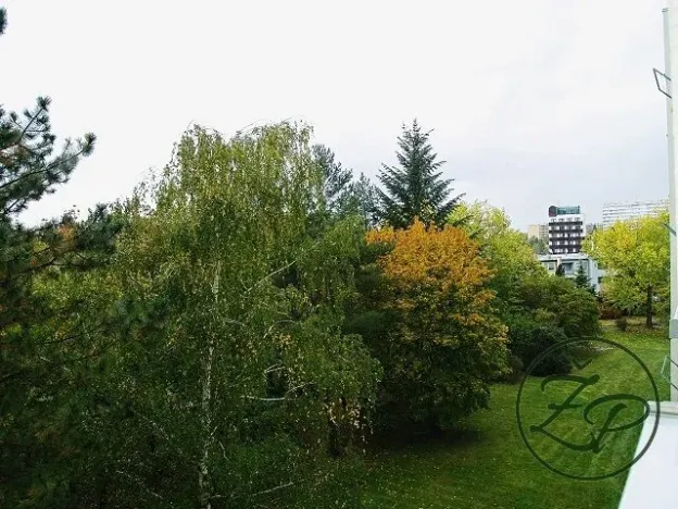 Pronájem bytu 2+kk, Praha - Krč, Vikova, 42 m2