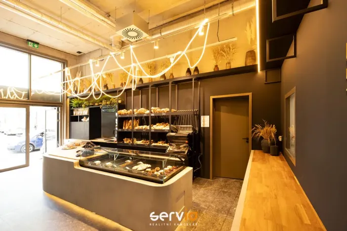 Pronájem bytu 1+kk, Brno, Bratislavská, 36 m2