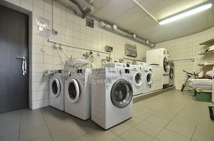 Pronájem bytu 1+kk, Brno, Křivánkovo náměstí, 21 m2