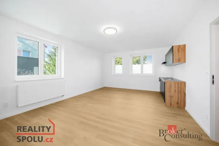 Pronájem bytu 1+kk, Břasy, 44 m2