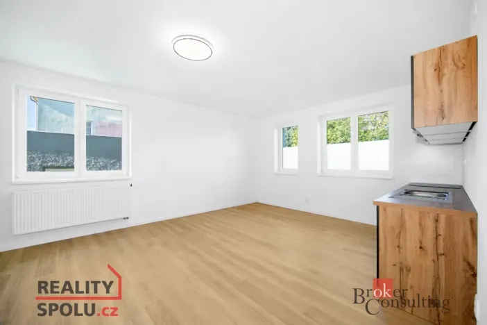 Pronájem bytu 1+kk, Břasy, 44 m2