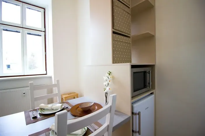 Pronájem bytu 1+kk, Brno, Koliště, 26 m2