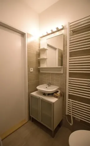 Pronájem bytu 1+kk, Brno, Koliště, 26 m2