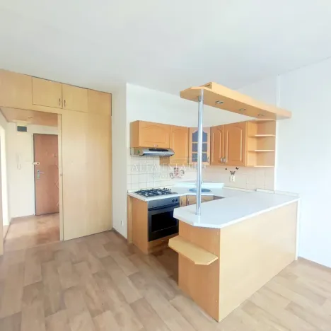 Pronájem bytu 2+1, Karlovy Vary, Krymská, 51 m2