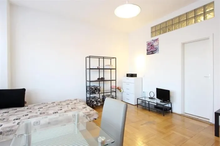 Pronájem bytu 1+kk, Brno - Veveří, Dřevařská, 34 m2