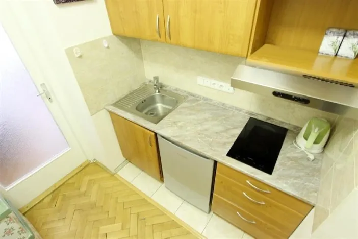 Pronájem bytu 1+kk, Brno - Veveří, Dřevařská, 34 m2