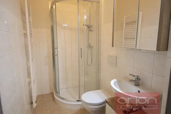 Pronájem bytu 1+1, Praha - Žižkov, Kubelíkova, 47 m2