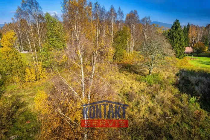 Prodej pozemku pro bydlení, Nová Pec - Nové Chalupy, 7051 m2