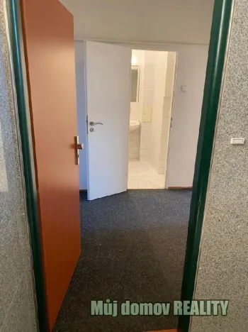 Pronájem bytu 2+kk, Praha - Vysočany, Freyova, 49 m2