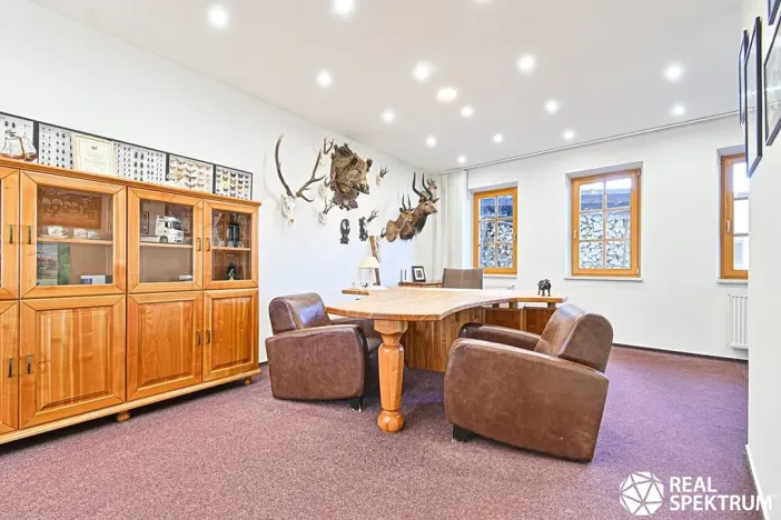 Prodej obchodního prostoru, Cetkovice, Velká Strana, 420 m2