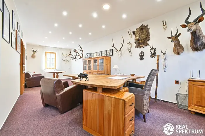 Prodej obchodního prostoru, Cetkovice, Velká Strana, 420 m2