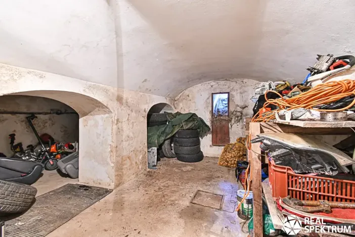 Prodej obchodního prostoru, Cetkovice, Velká Strana, 420 m2