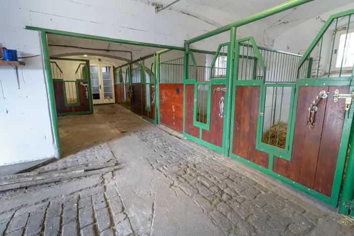 Prodej vícegeneračního domu, Bžany, 240 m2