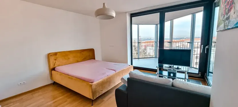 Pronájem bytu 1+kk, Praha - Žižkov, Malešická, 38 m2