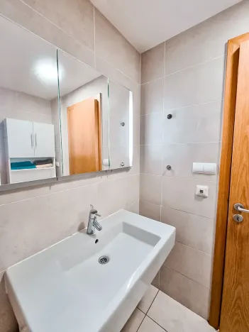 Pronájem bytu 1+kk, Praha - Žižkov, Malešická, 38 m2