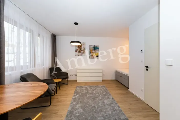 Pronájem bytu 1+kk, Praha - Karlín, Křižíkova, 32 m2