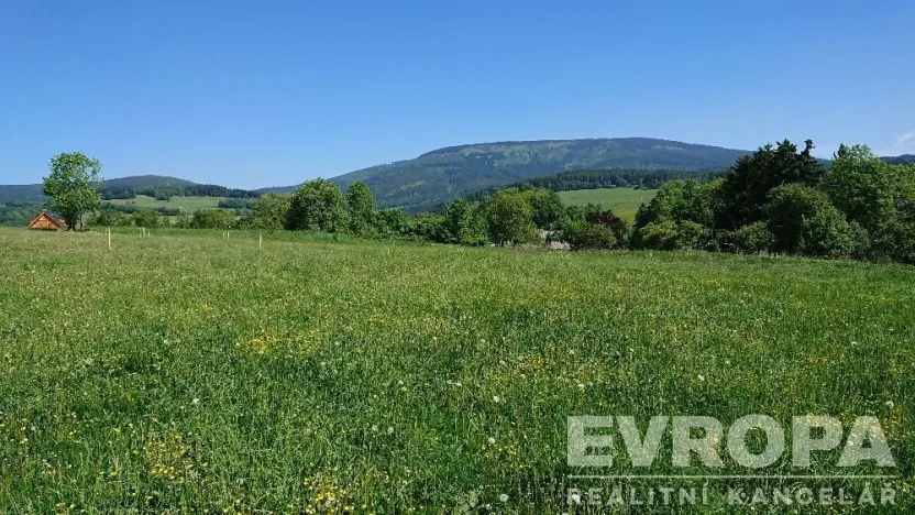 Prodej pozemku pro bydlení, Černý Důl, 1370 m2