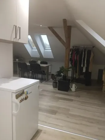 Pronájem bytu 1+kk, Plzeň, Pod Švabinami, 47 m2