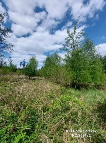 Prodej podílu lesa, Dolní Cerekev, 11817 m2