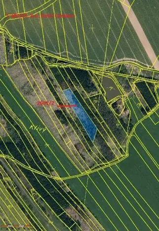 Prodej podílu lesa, Dolní Cerekev, 11817 m2