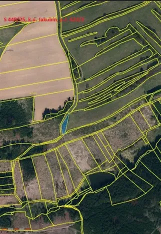 Prodej lesa, Častrov, 886 m2