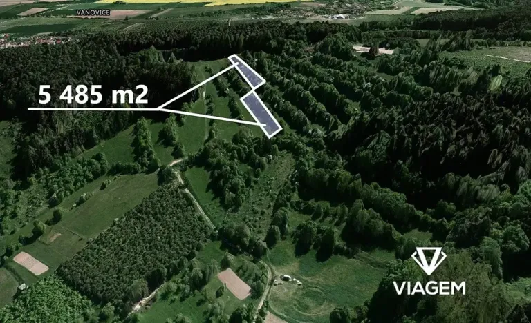 Prodej louky, Borotín, 2410 m2