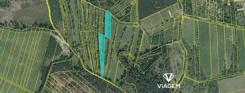 Prodej louky, Borotín, 2410 m2