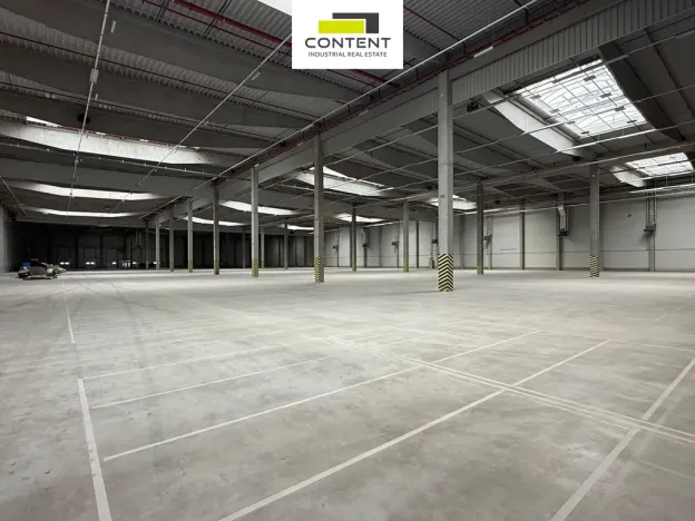 Pronájem výrobních prostor, Bor - Nová Hospoda, 9786 m2