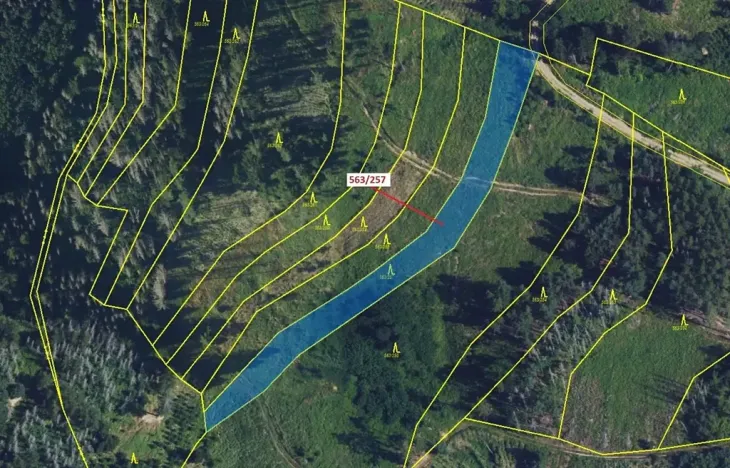 Dražba lesa, Spešov, 2643 m2