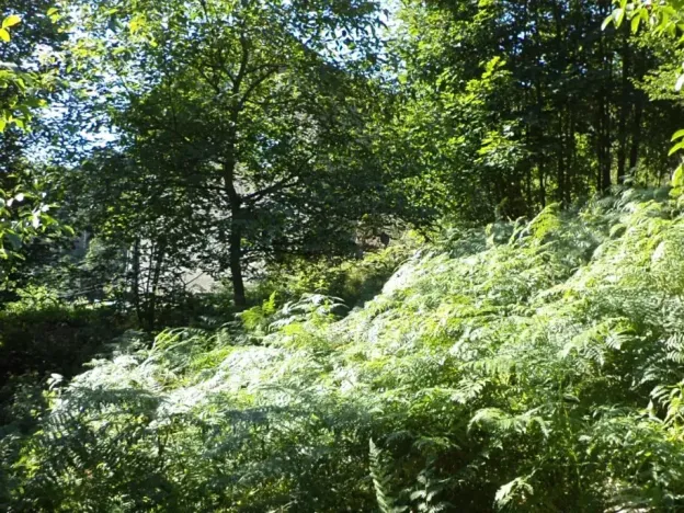 Dražba pozemku pro bydlení, Stará Paka, 1210 m2