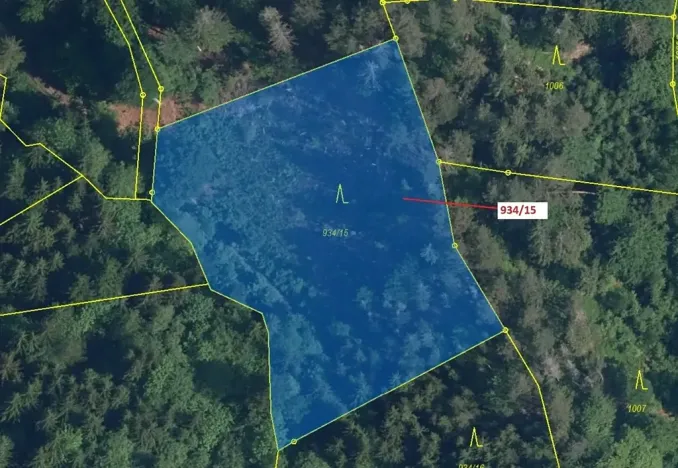 Dražba lesa, Jílové u Držkova, 3821 m2