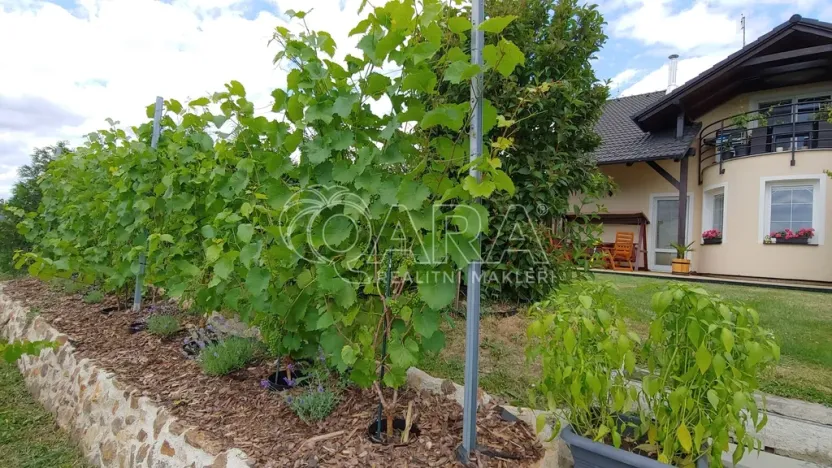 Prodej vícegeneračního domu, Srubec, 334 m2