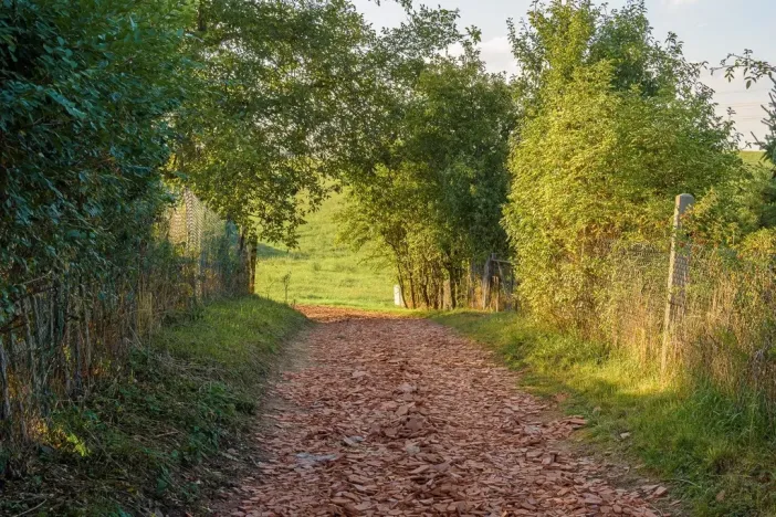 Prodej pozemku pro bydlení, Bystřany - Úpořiny, 14443 m2