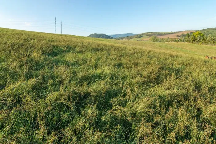 Prodej pozemku pro bydlení, Bystřany - Úpořiny, 14443 m2