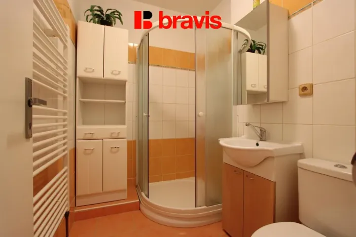 Pronájem bytu 1+kk, Neslovice, Školní, 31 m2