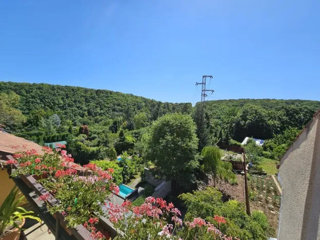 Prodej rodinného domu, Brno - Bystrc, Šemberova, 320 m2