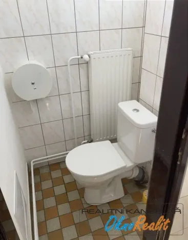 Pronájem obchodního prostoru, Přerov - Přerov I-Město, Šířava, 255 m2