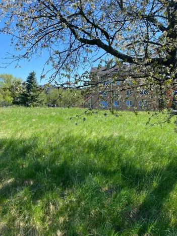 Prodej pozemku pro bydlení, Hamr na Jezeře, 875 m2