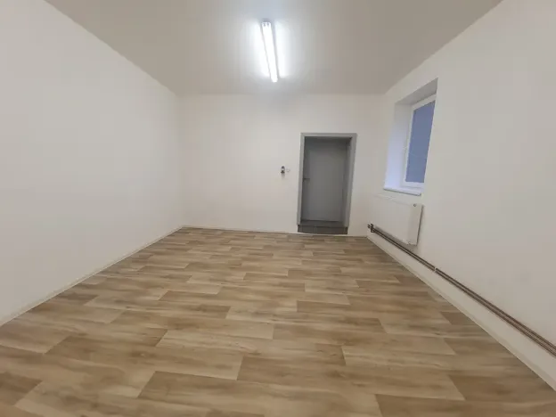 Pronájem výrobních prostor, Bílovice nad Svitavou, Obřanská, 249 m2